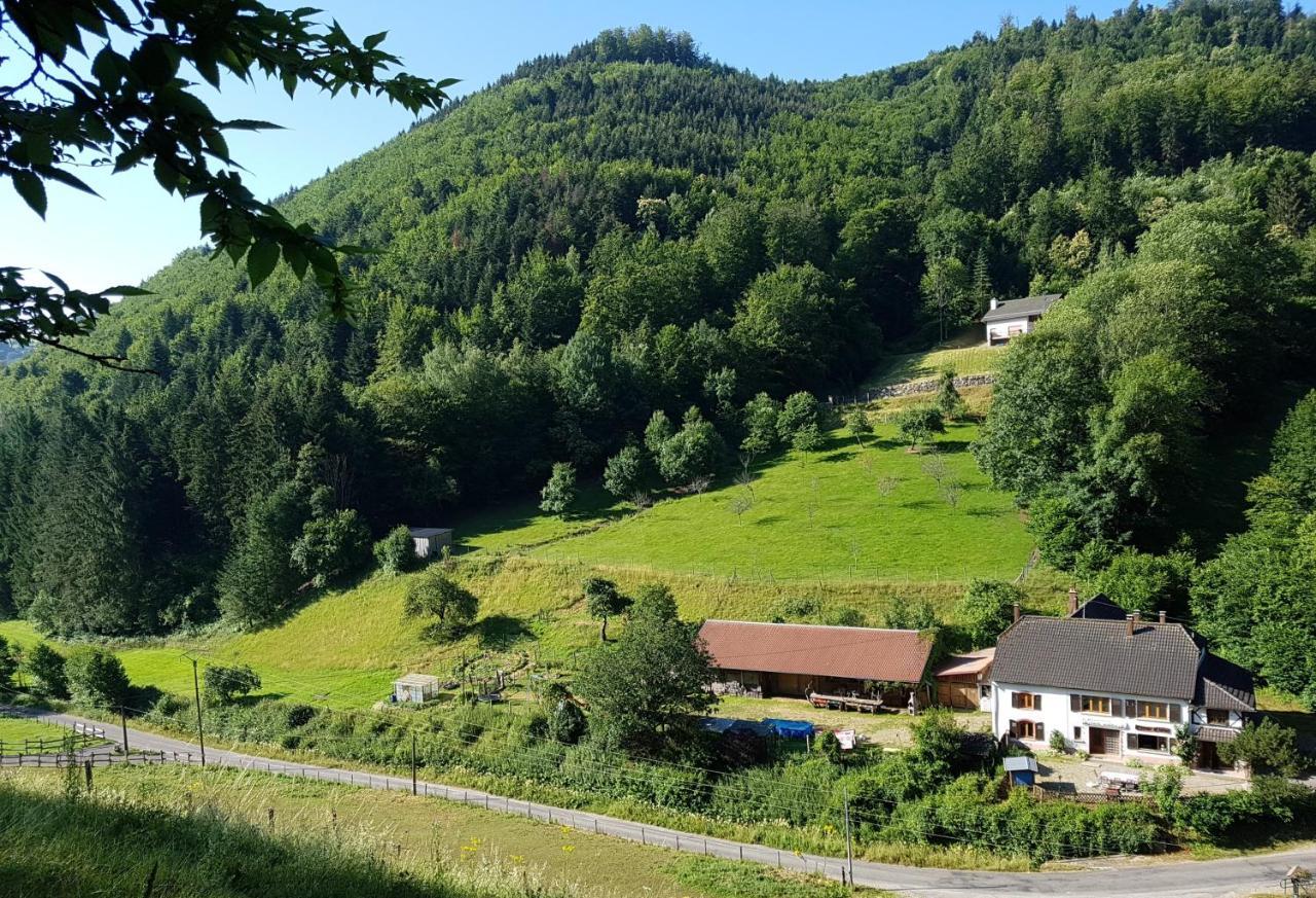 Rombach-le-Franc Gite Le Creux Chene מראה חיצוני תמונה