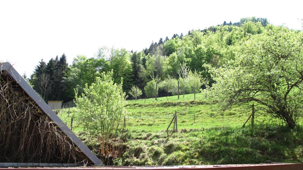 Rombach-le-Franc Gite Le Creux Chene מראה חיצוני תמונה